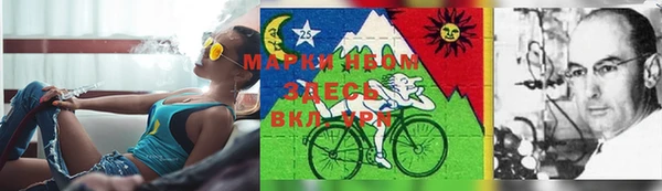 трава Верея